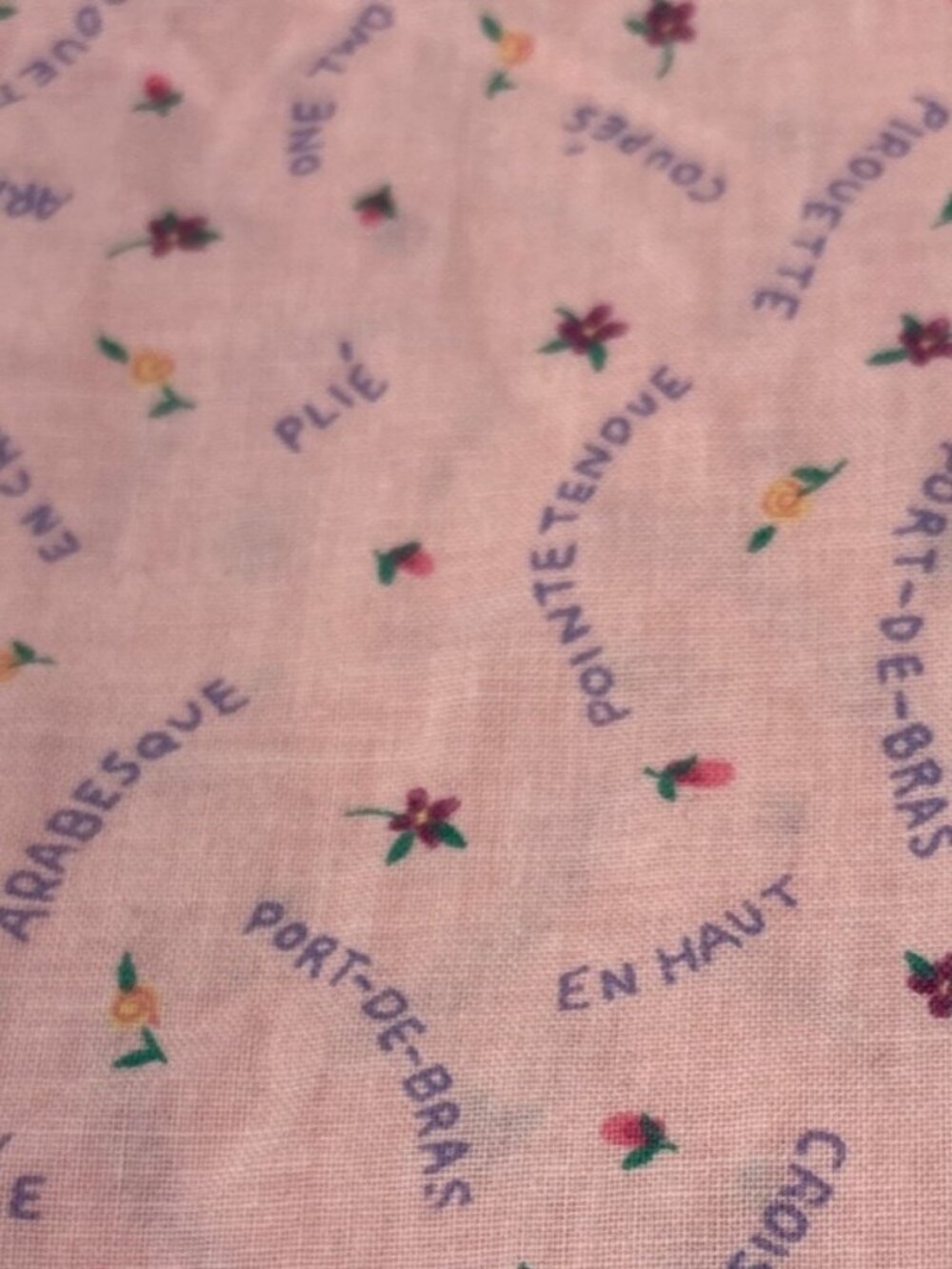 Pink Ballet-Themed Cotton Fabric 23x30" Floral & Dance Terms Pattern